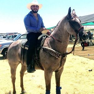 Meet your Posher, Francisco